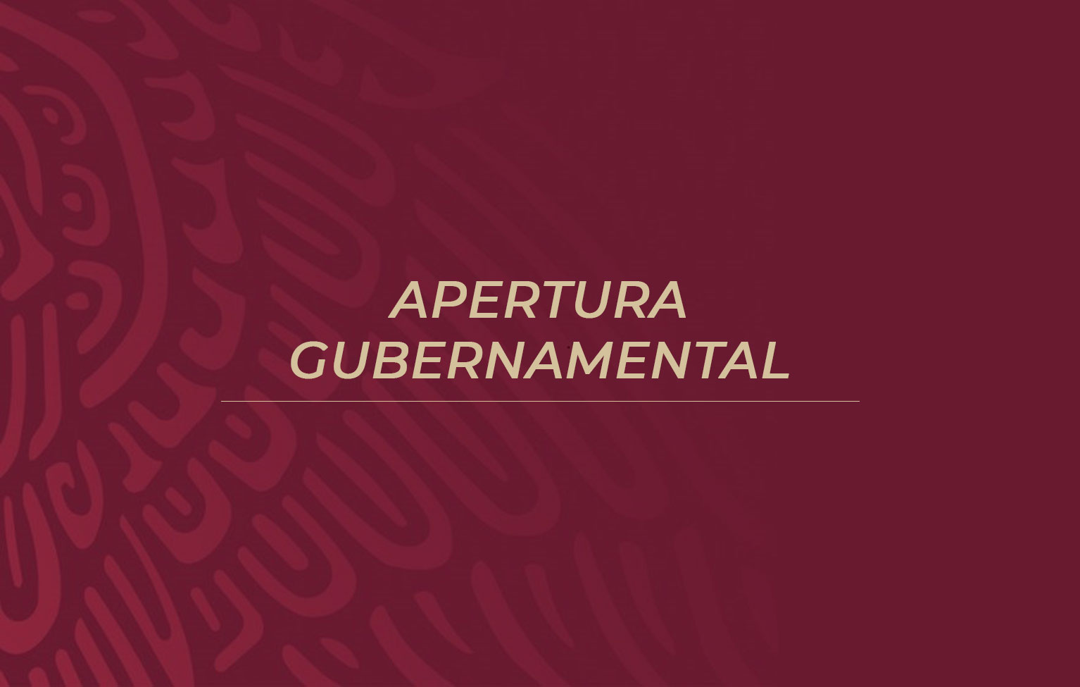 Apertura Gubernamental